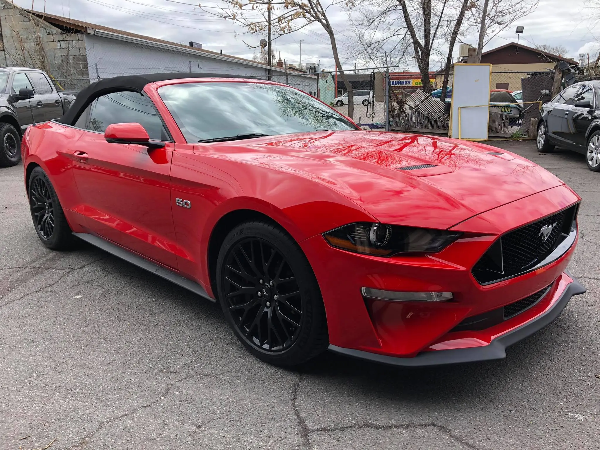 Mustang paint protection